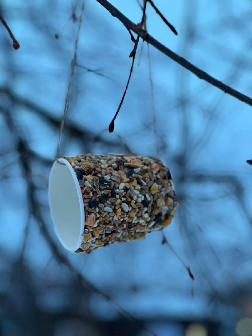 Елки, Санки, Парки, Зимний отдых, Мастер-классы,