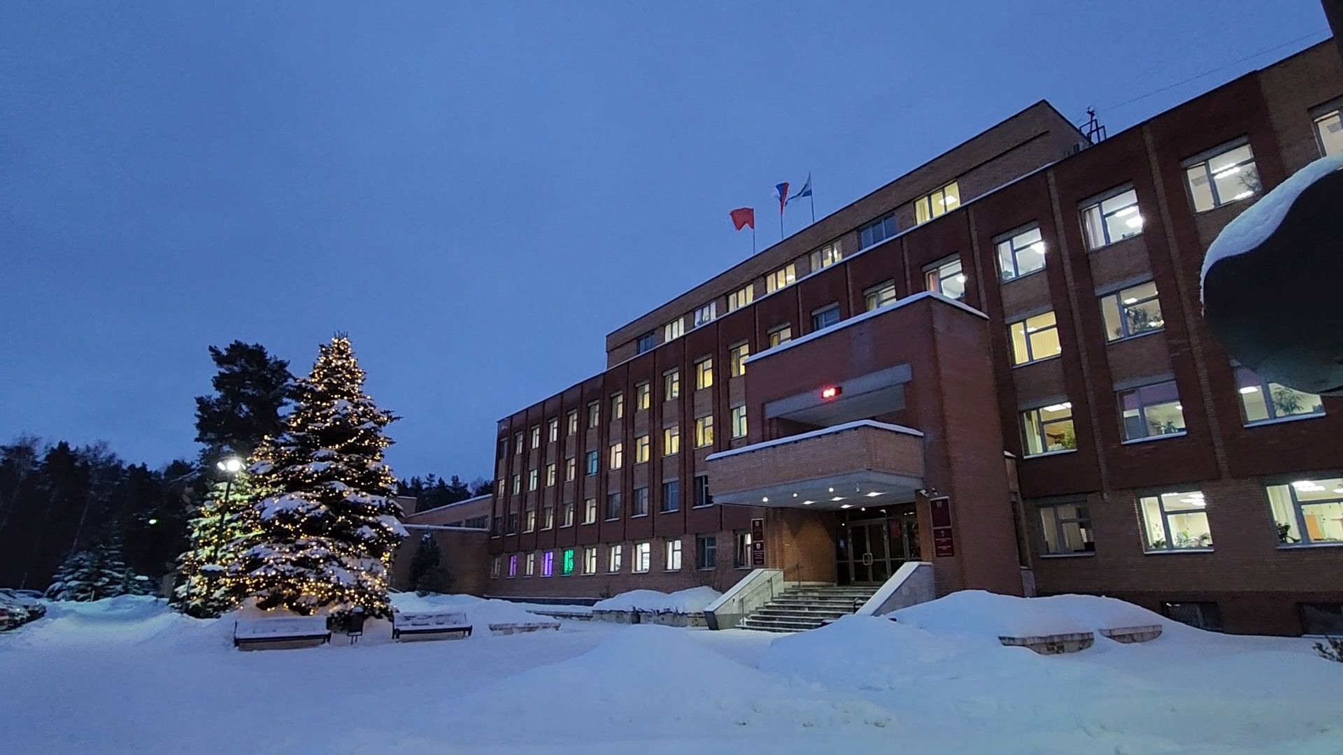 Дубна, Елки, Экологическая акция, Переработка, Экология, Благоустройство,