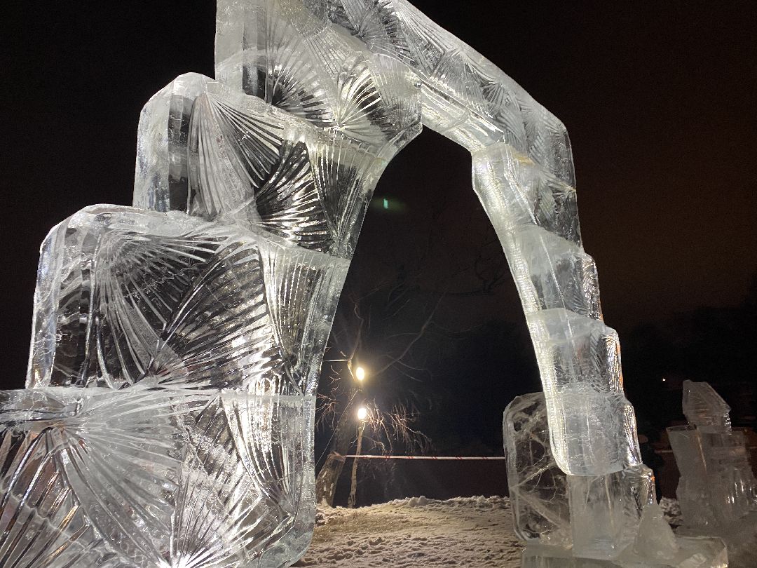 Долгопрудный, общество