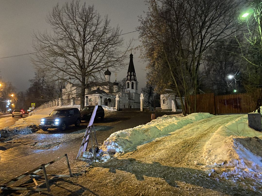 Долгопрудный, общество