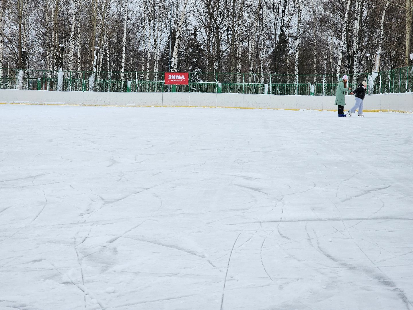 Зима в Подмосковье, зимние виды спорта, каток, Старая Купавна, Богородский городской округ,