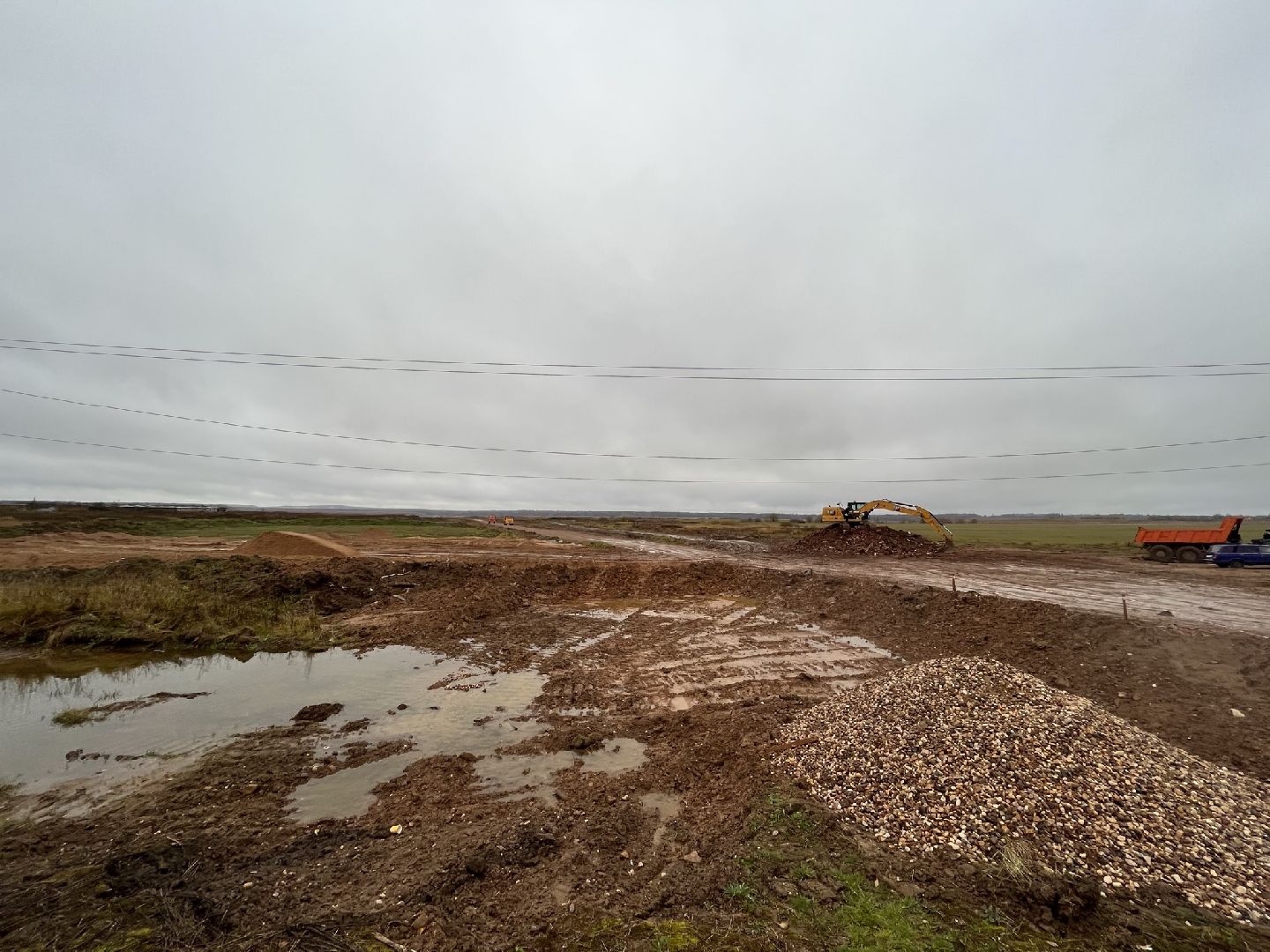 шаховская, коровы, животноводство, ферма,