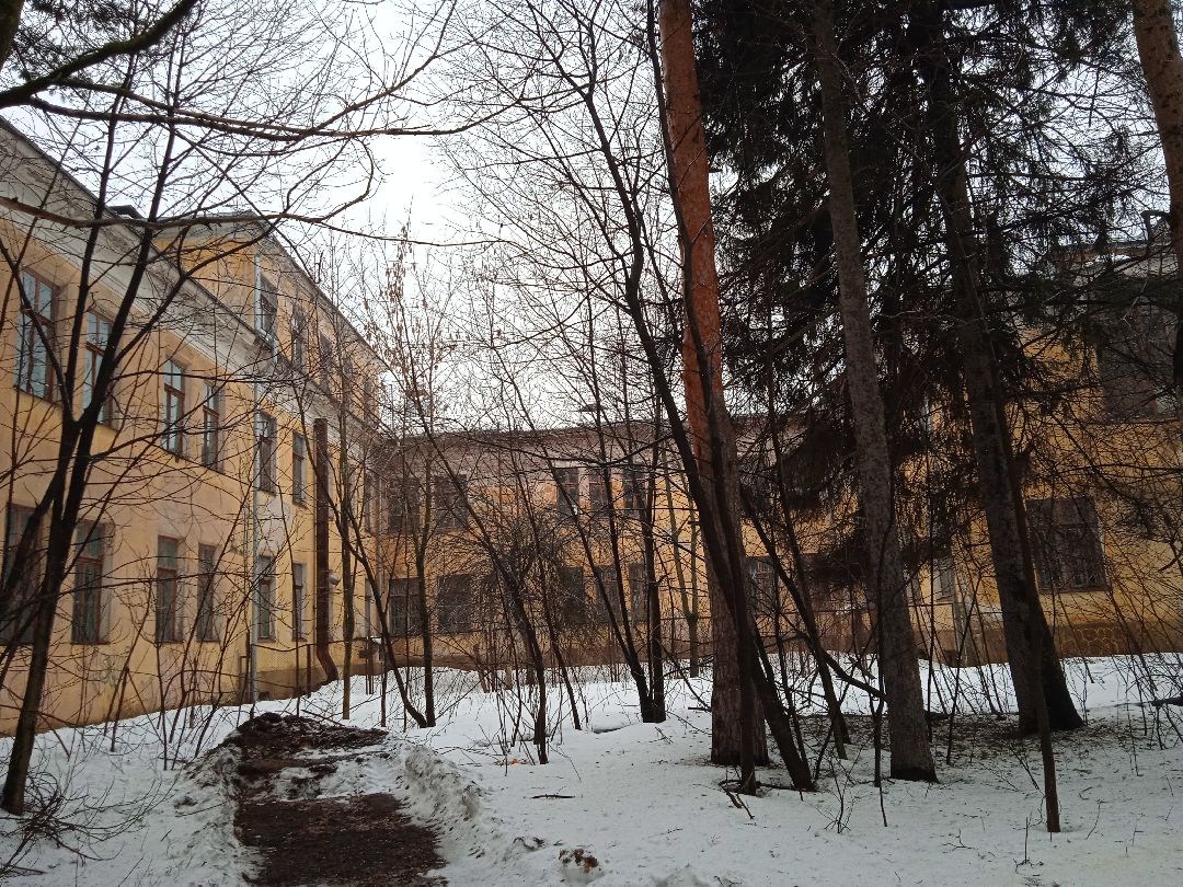 кикбоксинг, турнтр, лоу-кик, фулл-контакт, медаль