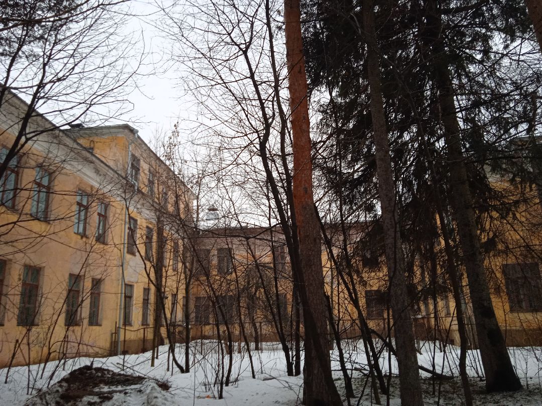 кикбоксинг, турнтр, лоу-кик, фулл-контакт, медаль