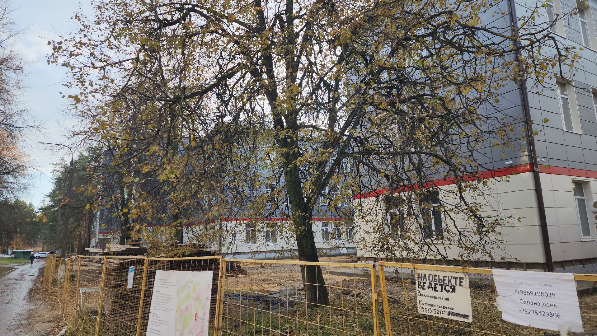 взрослая поликлиника, Жуковская ОКБ, капитальный ремонт, Аубакиров, Семенов,