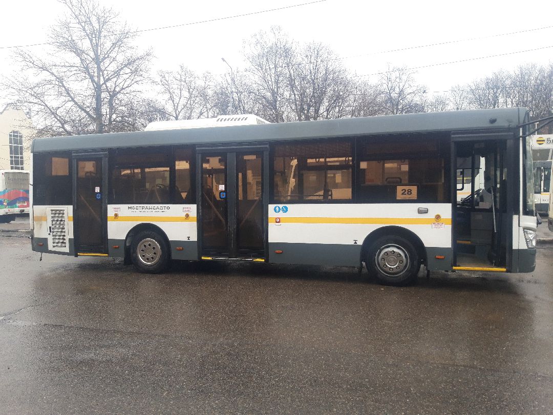 автобусы, путешестия,