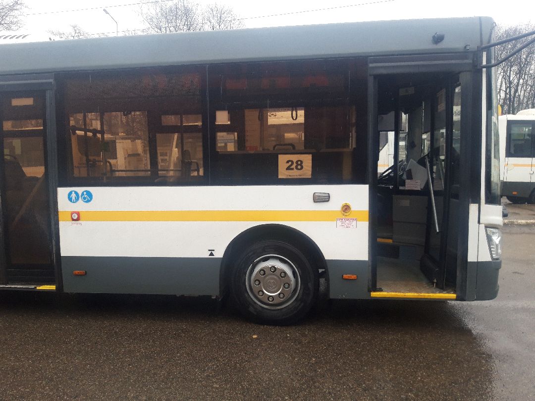 автобусы, путешестия,