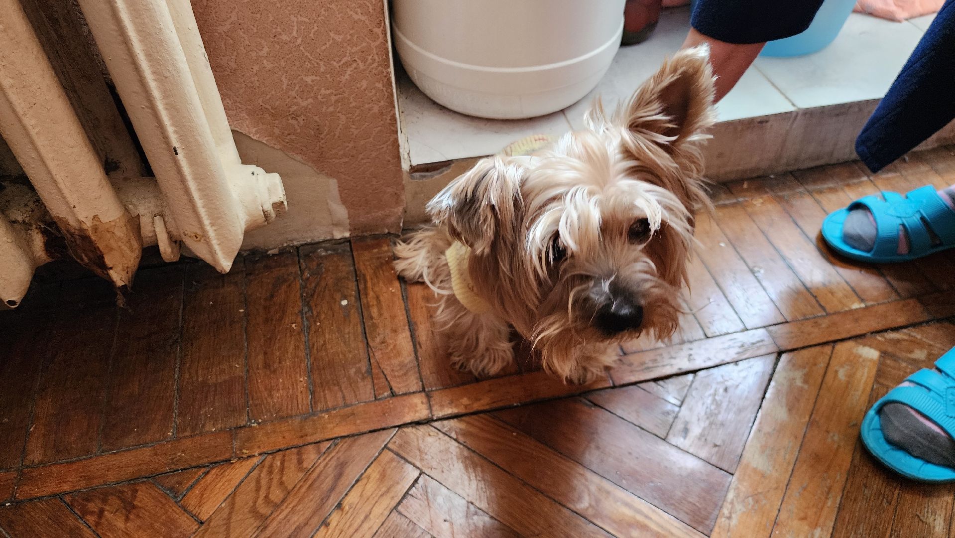 подольск, жкх, авария в котельной,