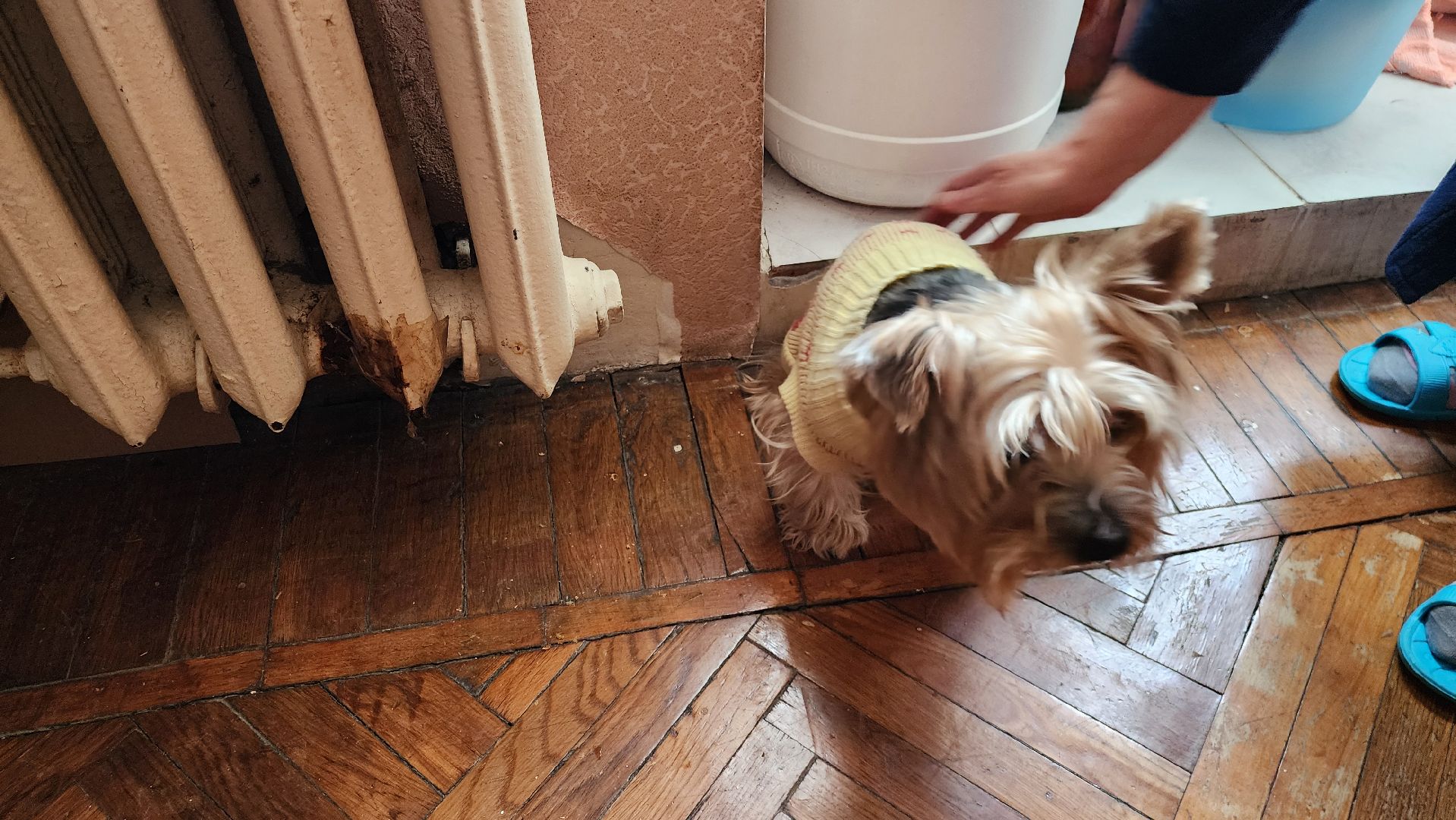 подольск, жкх, авария в котельной,