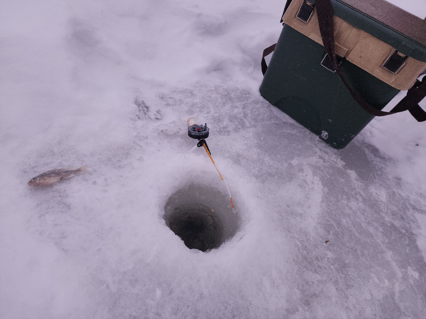 коломна, общество, спасатели, рыбаки,