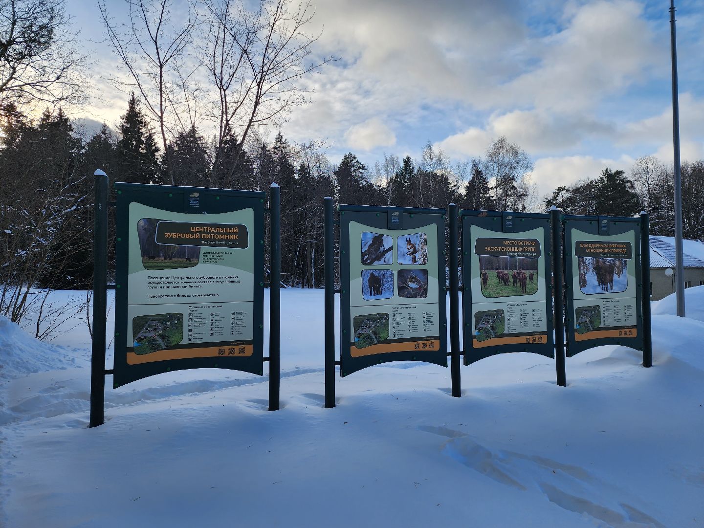 серпухов, подмосковье, заповедник, зубры, бизоны,