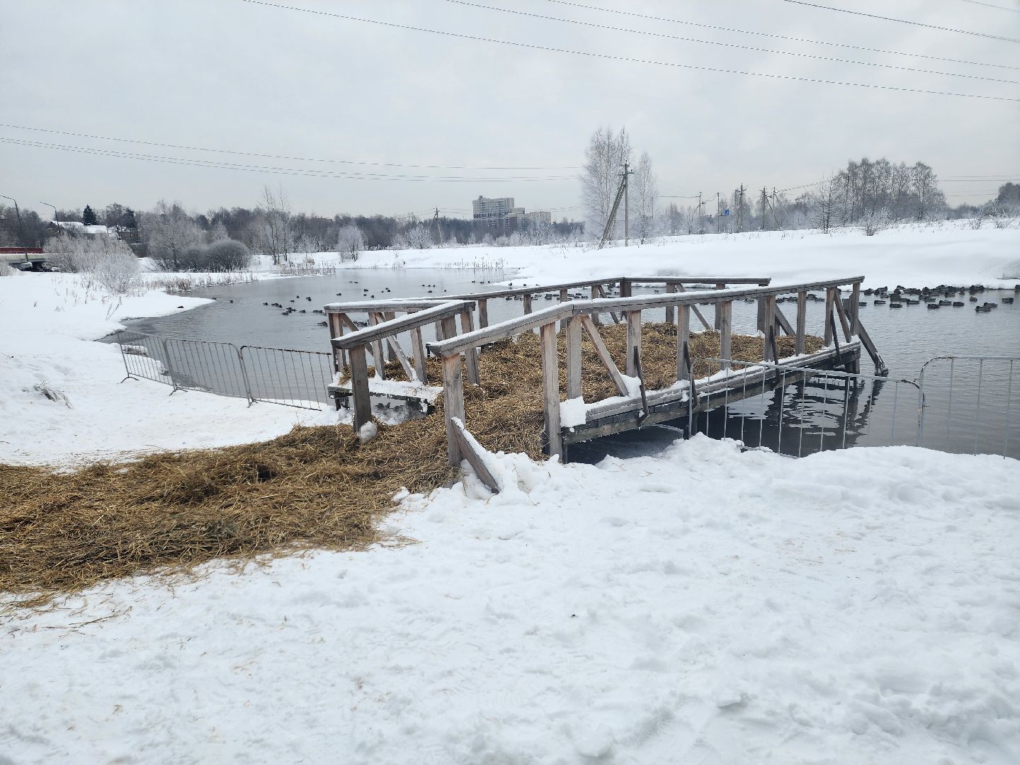 пушкино, крещение господне, крещенские купания, родники,