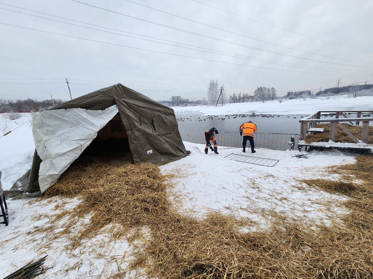 пушкино, крещение господне, крещенские купания, родники,