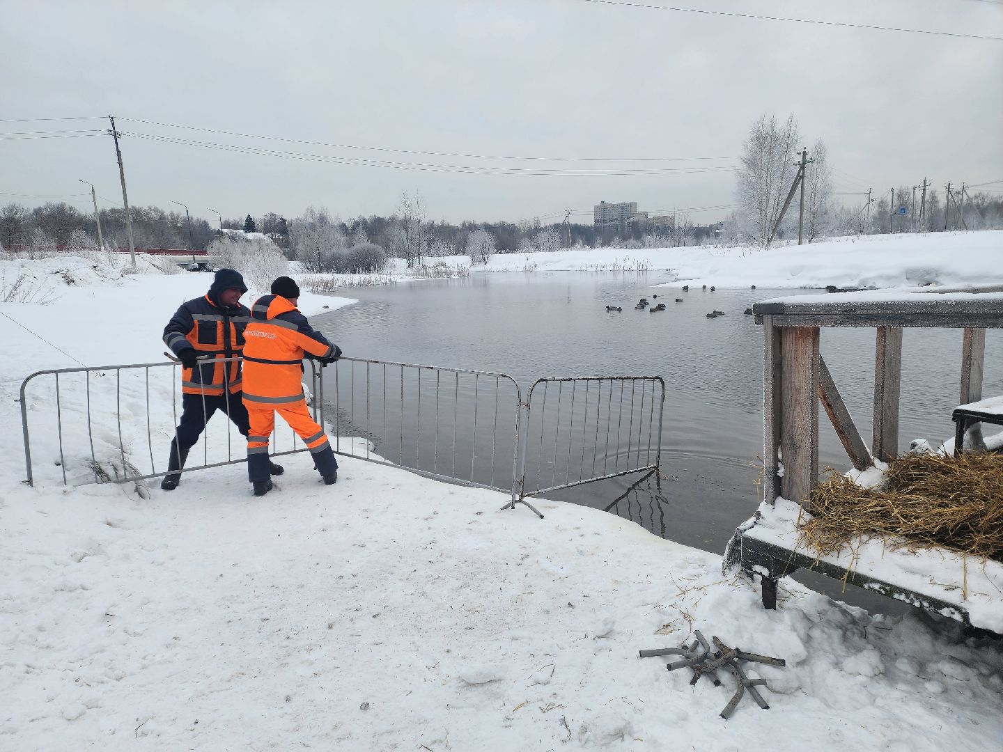 пушкино, крещение господне, крещенские купания, родники,