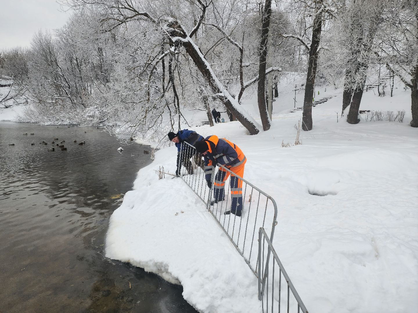 пушкино, крещение господне, крещенские купания, родники,