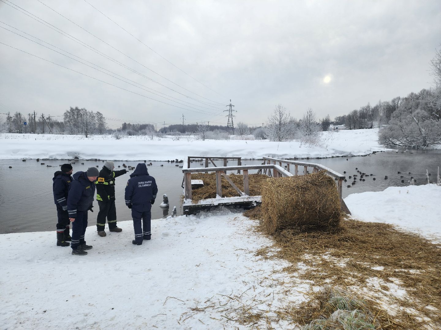 пушкино, крещение господне, крещенские купания, родники,