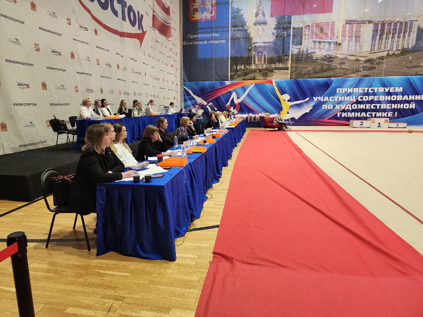 художественная гимнастика, соревнования, орехово зуево,