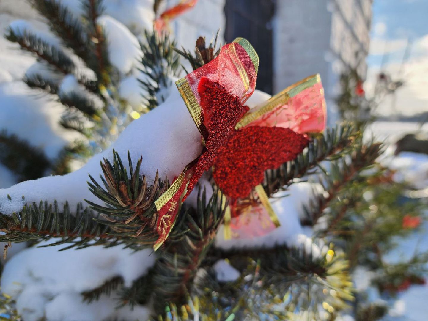 можайск, можайский округ, подмосковье, крещение господне, крещенские купания, купель, люди, религия, православный праздник,