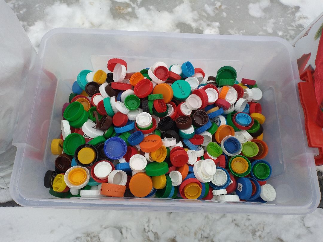 Лосино-Петровский, общество