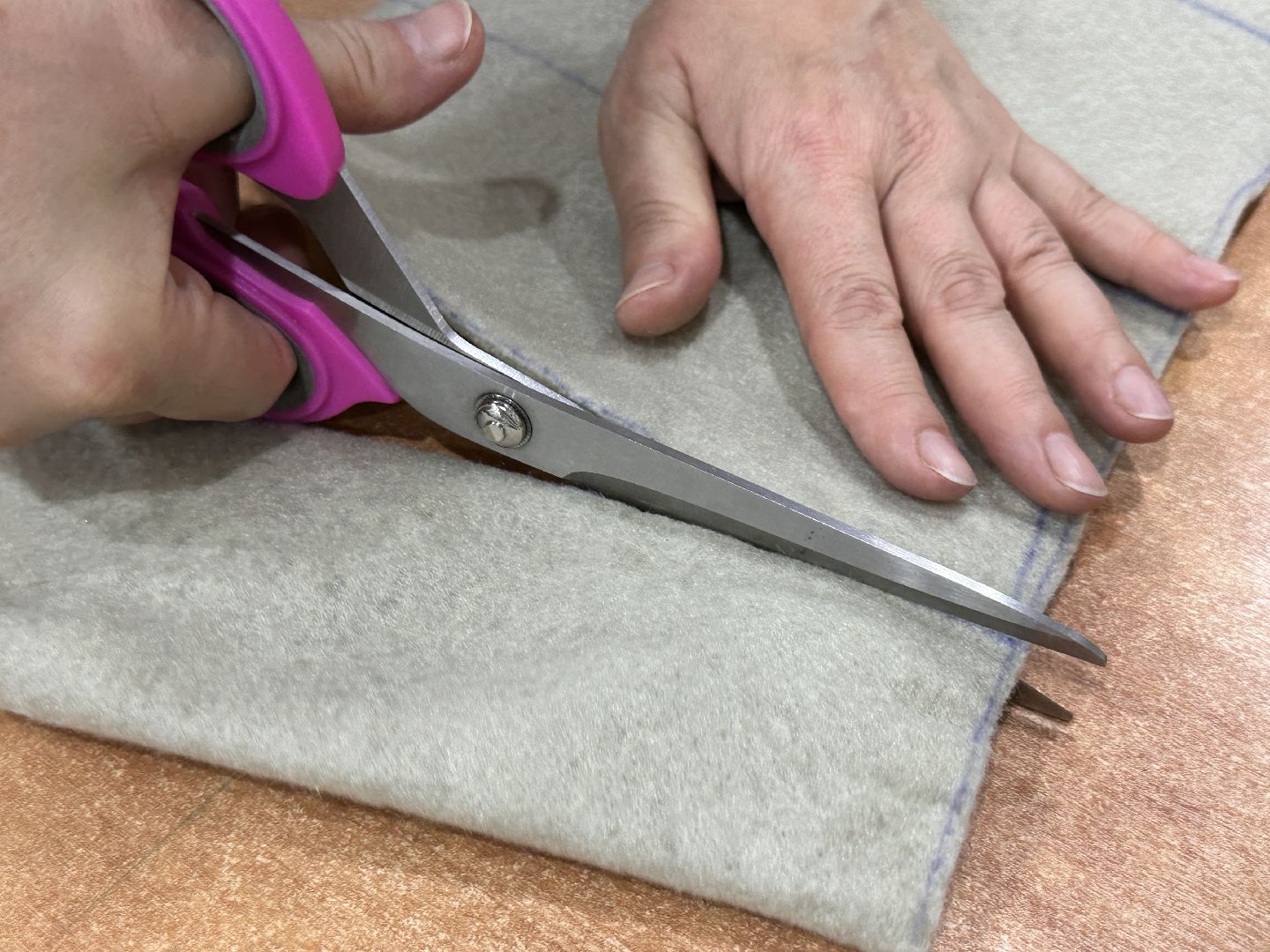 Одинцово, Серебряные волонтеры, СВО,