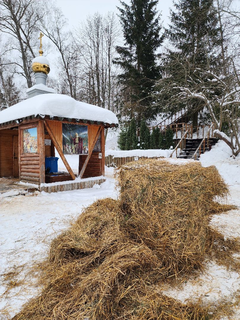 крещение господне, мчс россии, крещенские купания, руза, рузский городской округ, московская область, подмосковье,
