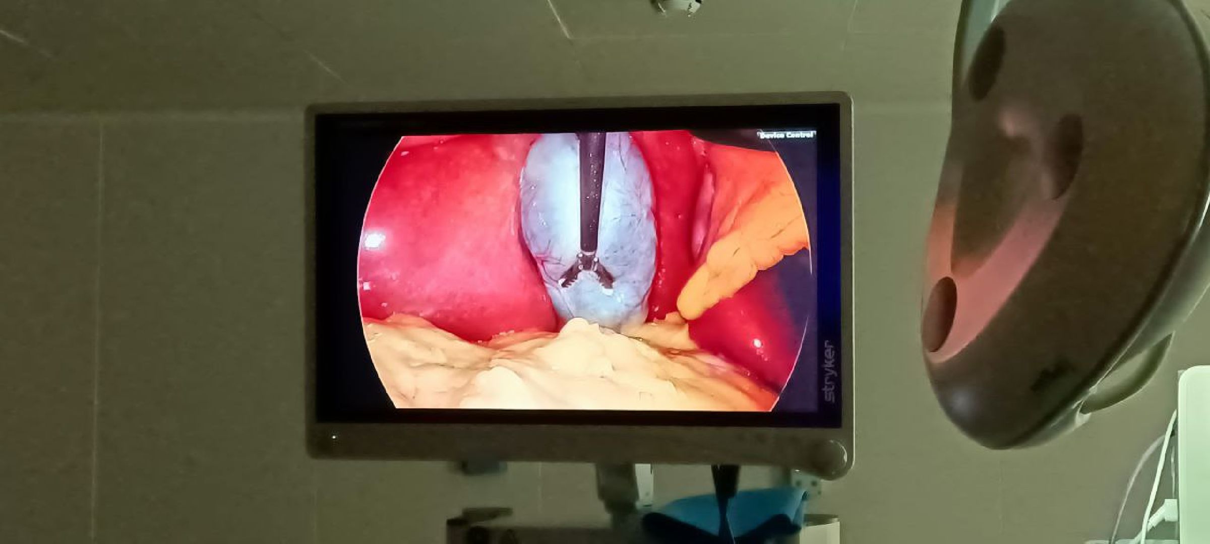 Дмитров, Дмитровская больница, Премия Подмосковный врач,