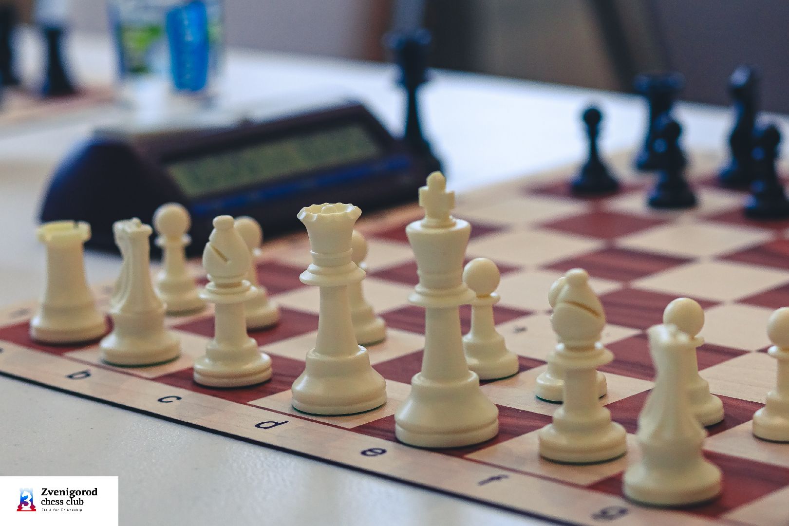 Звенигород, Спорт, Шахматы,