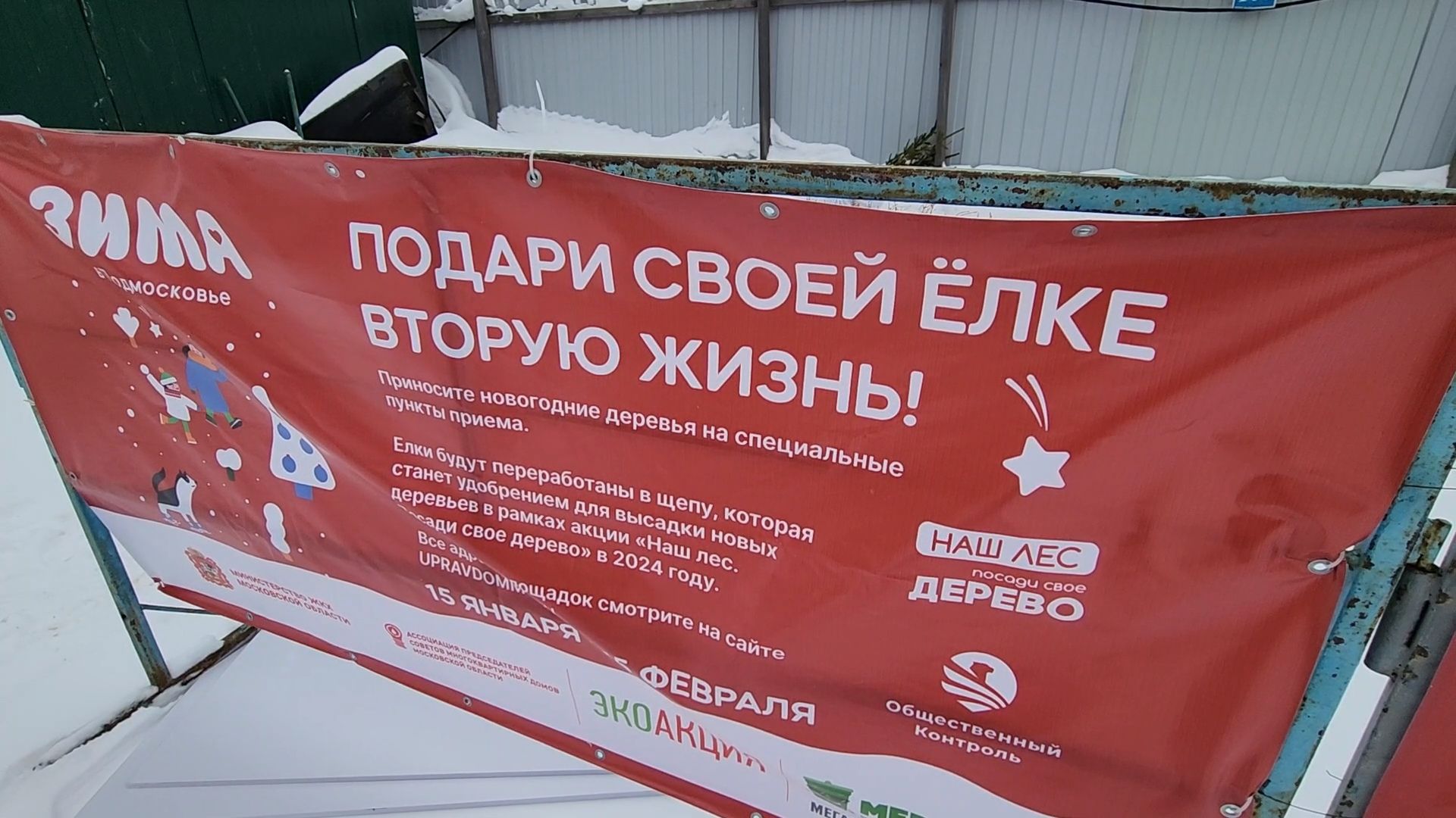 Одинцово, ель, новый год, рождество, подари своей елке новую жизнь, акция, утилизация, переработка,