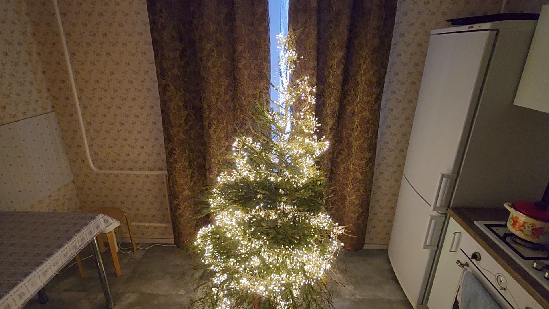 Одинцово, ель, новый год, рождество, подари своей елке новую жизнь, акция, утилизация, переработка,