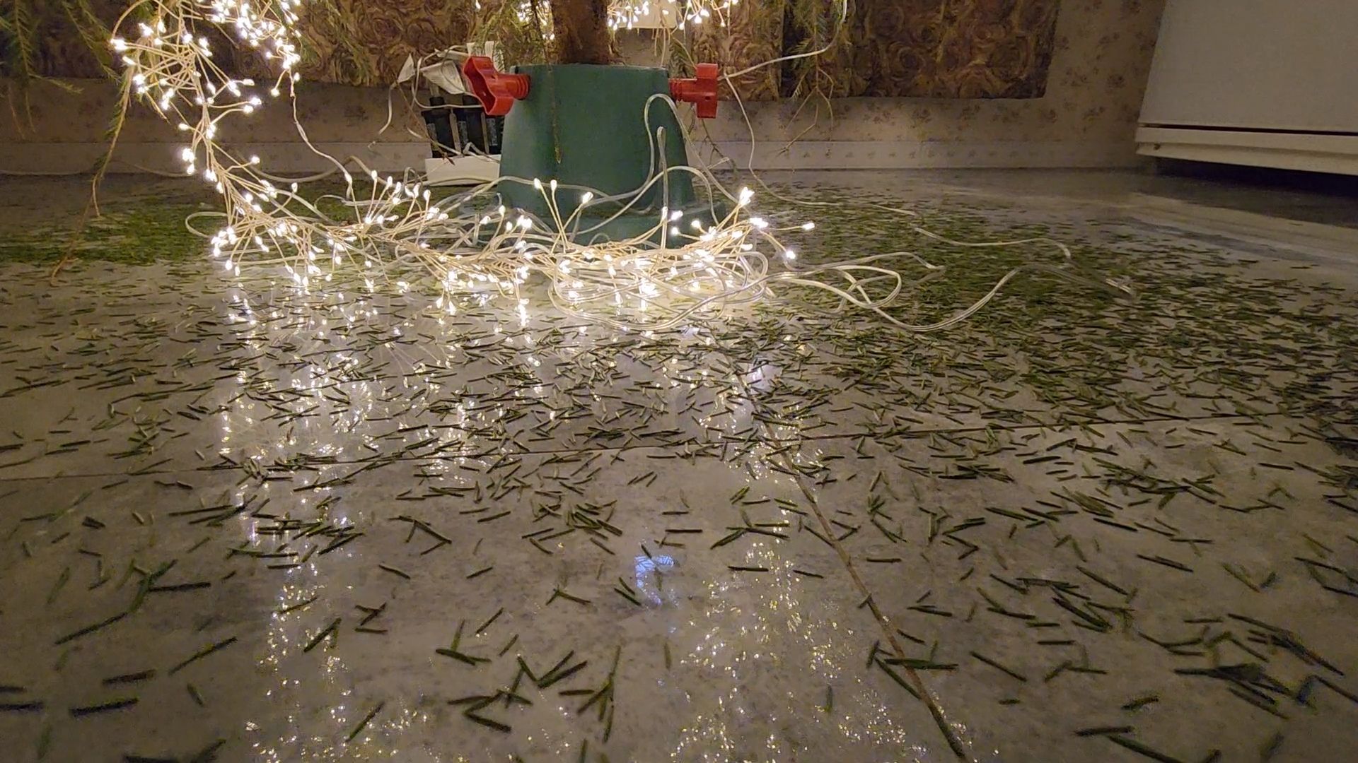 Одинцово, ель, новый год, рождество, подари своей елке новую жизнь, акция, утилизация, переработка,