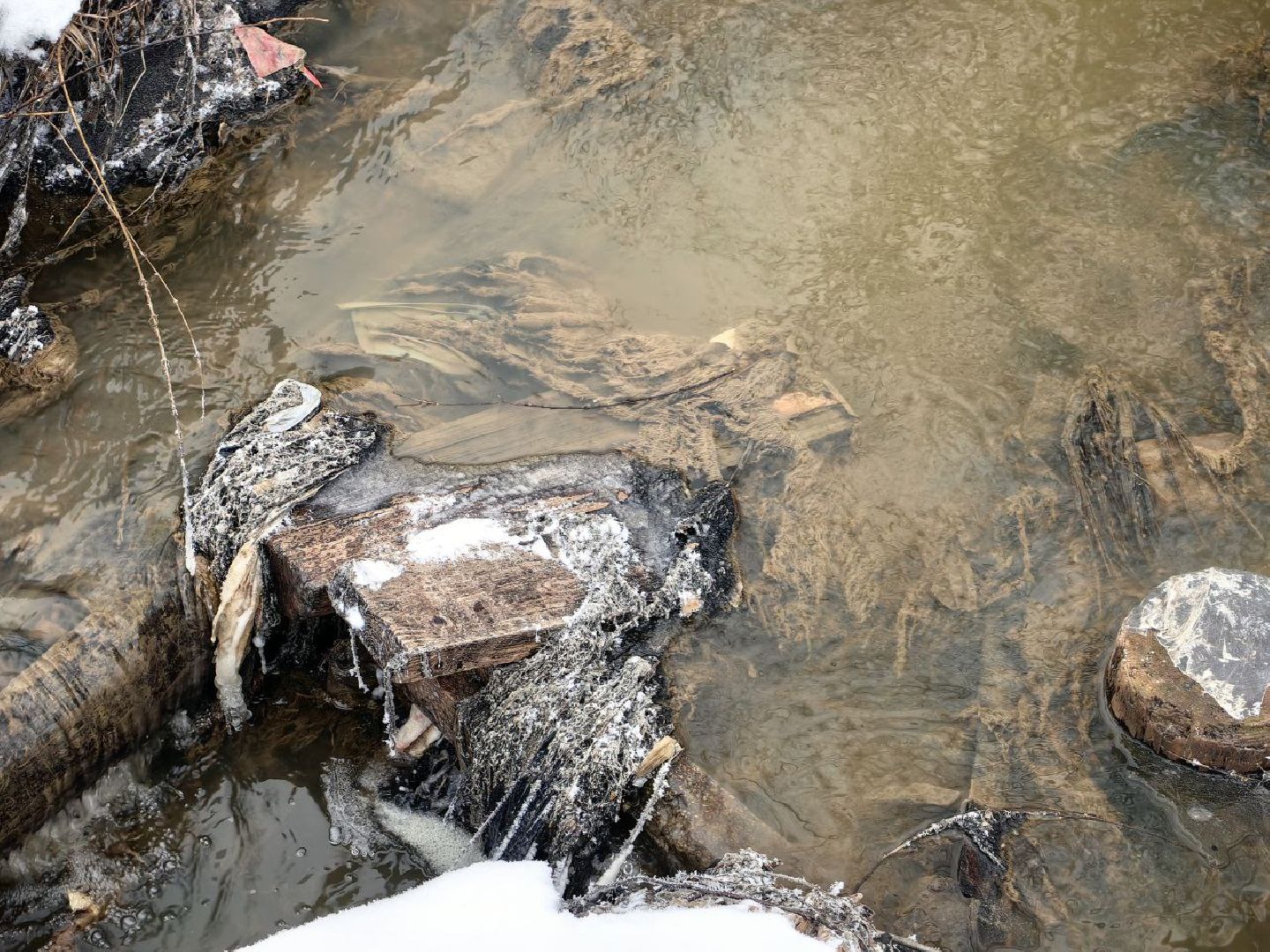 природа, стоки, Клязьма, Щелково,выездная администрация,