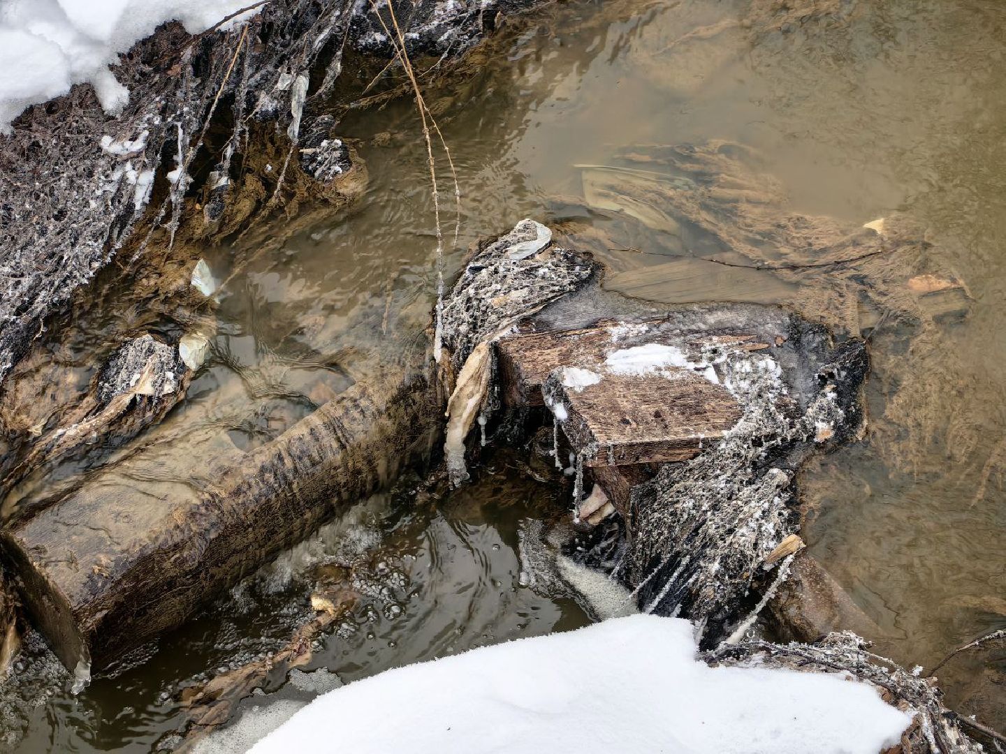 природа, стоки, Клязьма, Щелково,выездная администрация,