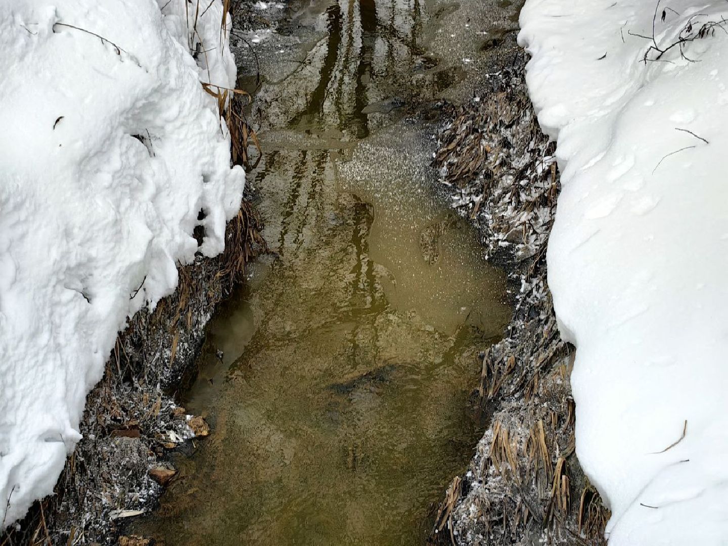 природа, стоки, Клязьма, Щелково,выездная администрация,