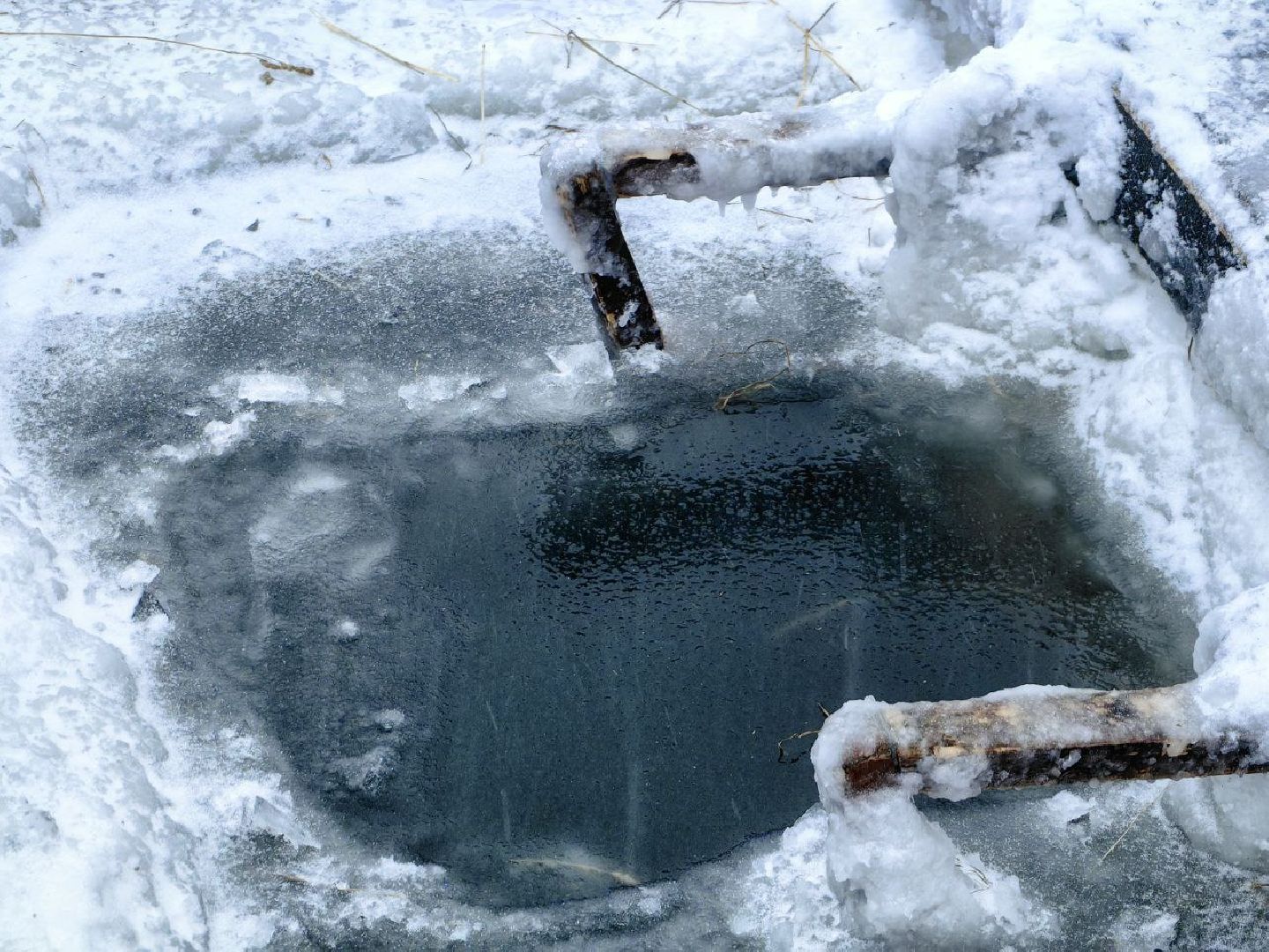 природа, стоки, Клязьма, Щелково,выездная администрация,