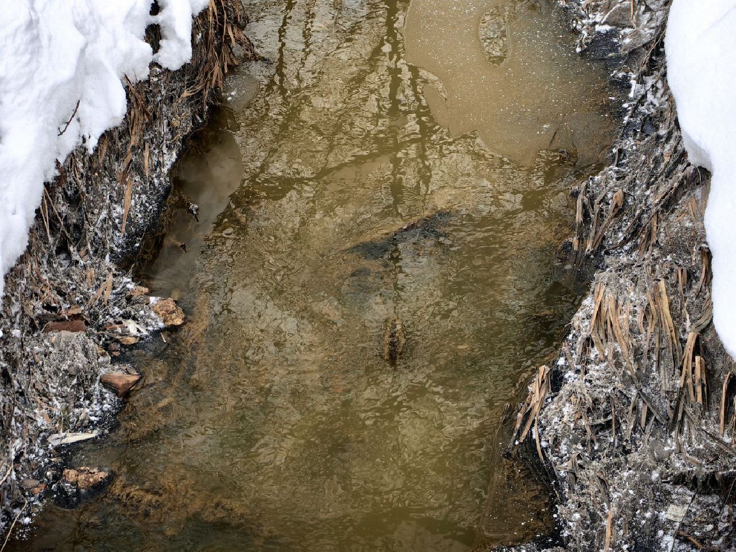 природа, стоки, Клязьма, Щелково,выездная администрация,