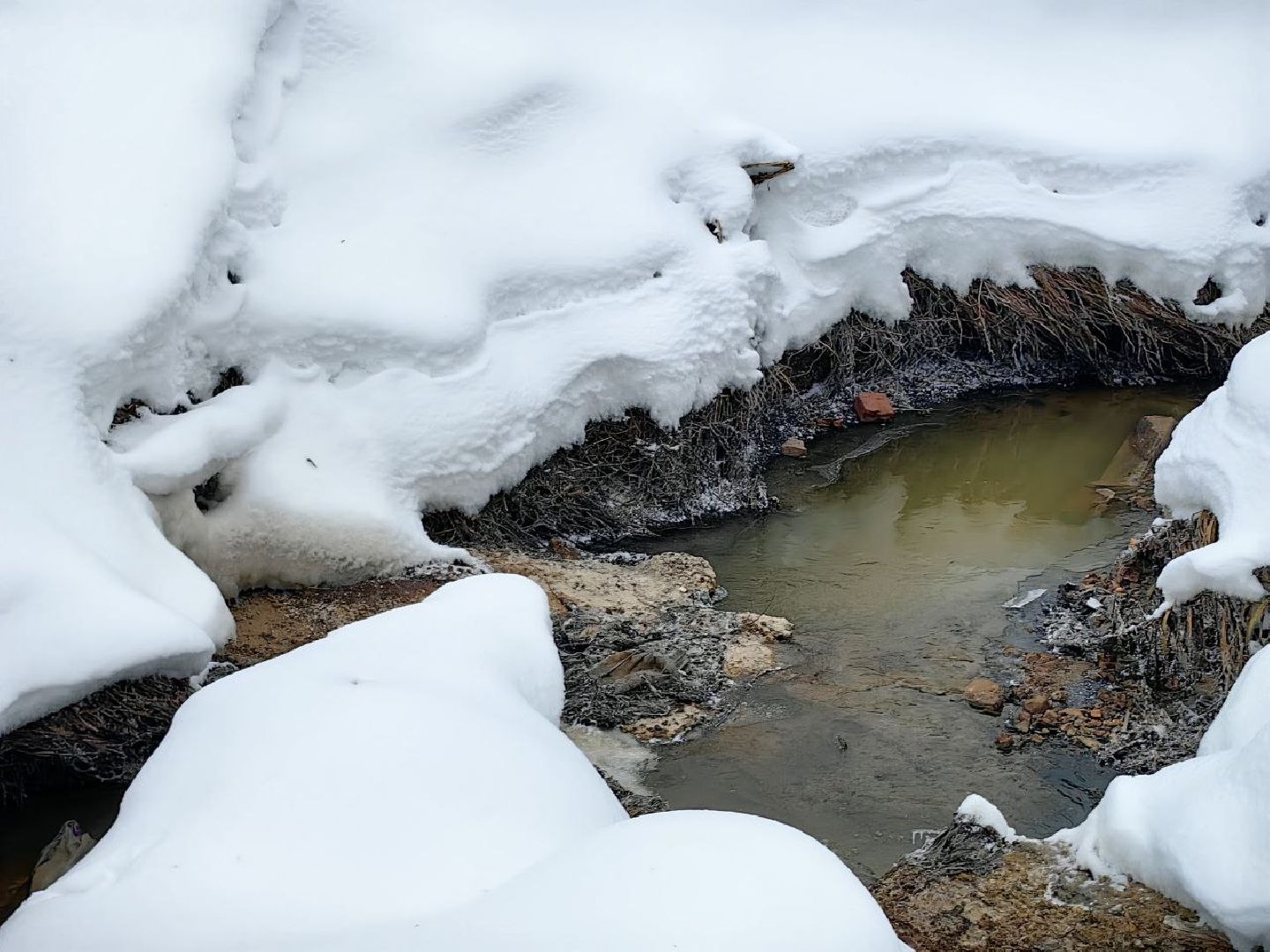 природа, стоки, Клязьма, Щелково,выездная администрация,