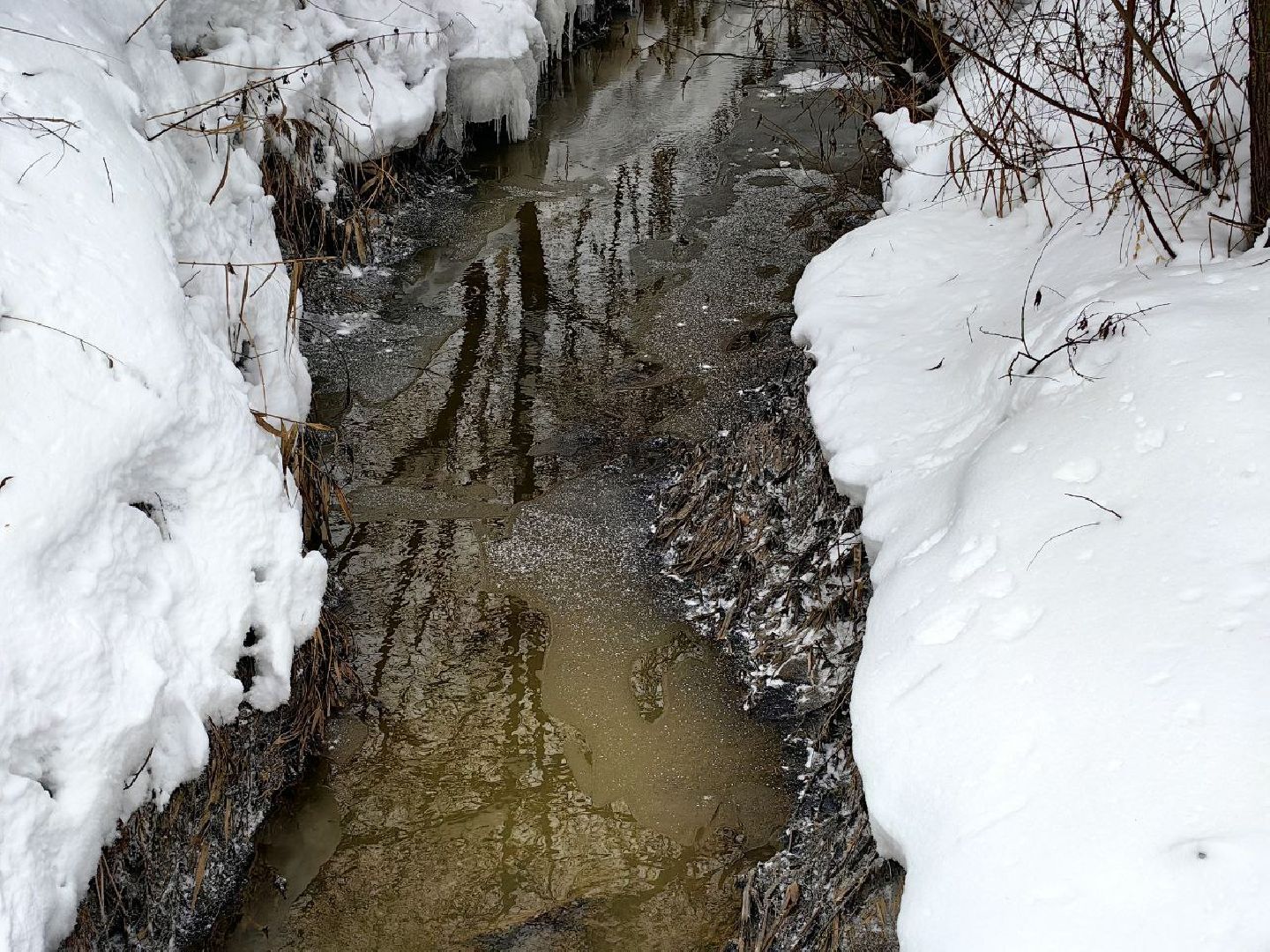 природа, стоки, Клязьма, Щелково,выездная администрация,