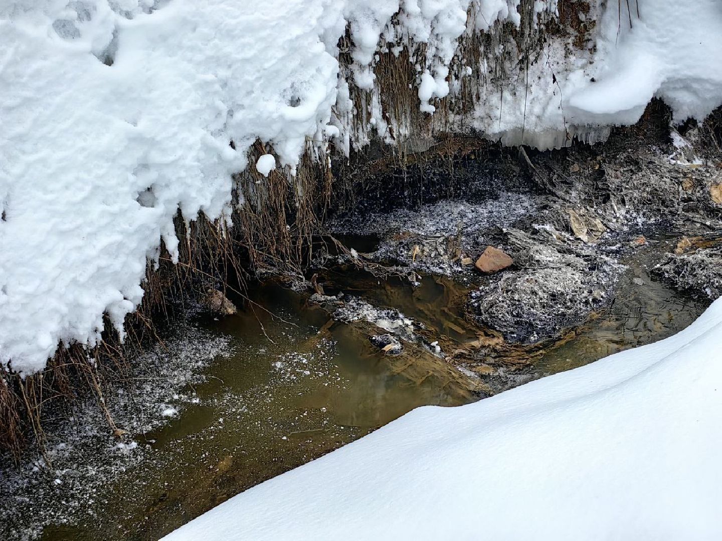 природа, стоки, Клязьма, Щелково,выездная администрация,