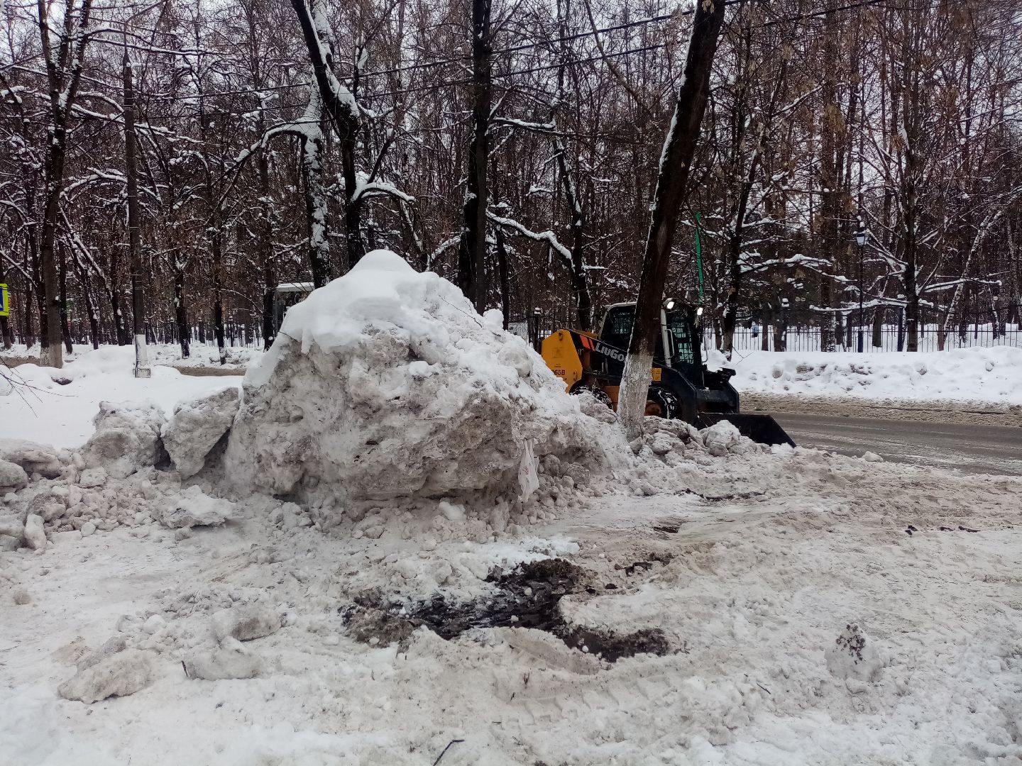 снежный шторм, непогода, природные аномалии,