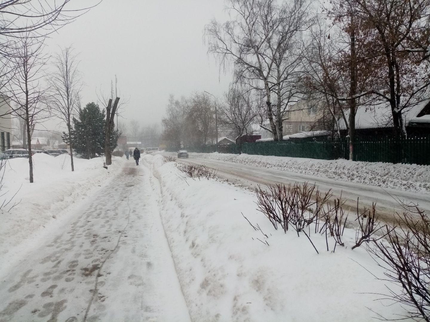 снежный шторм, непогода, природные аномалии,