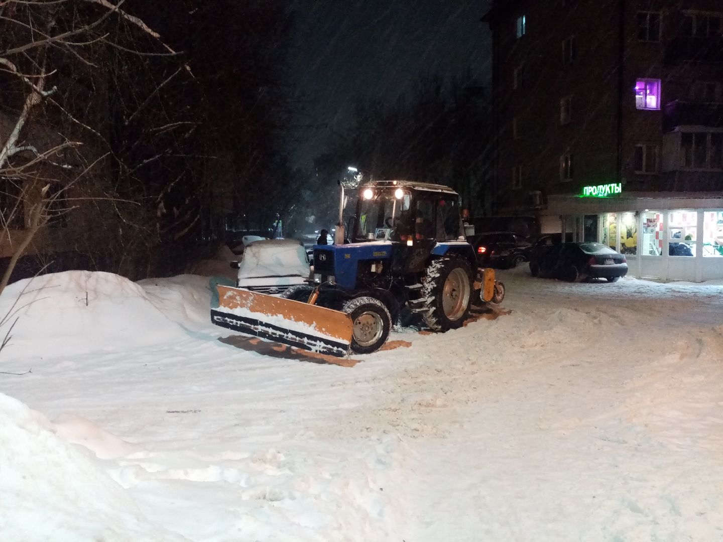 снежный шторм, непогода, природные аномалии,