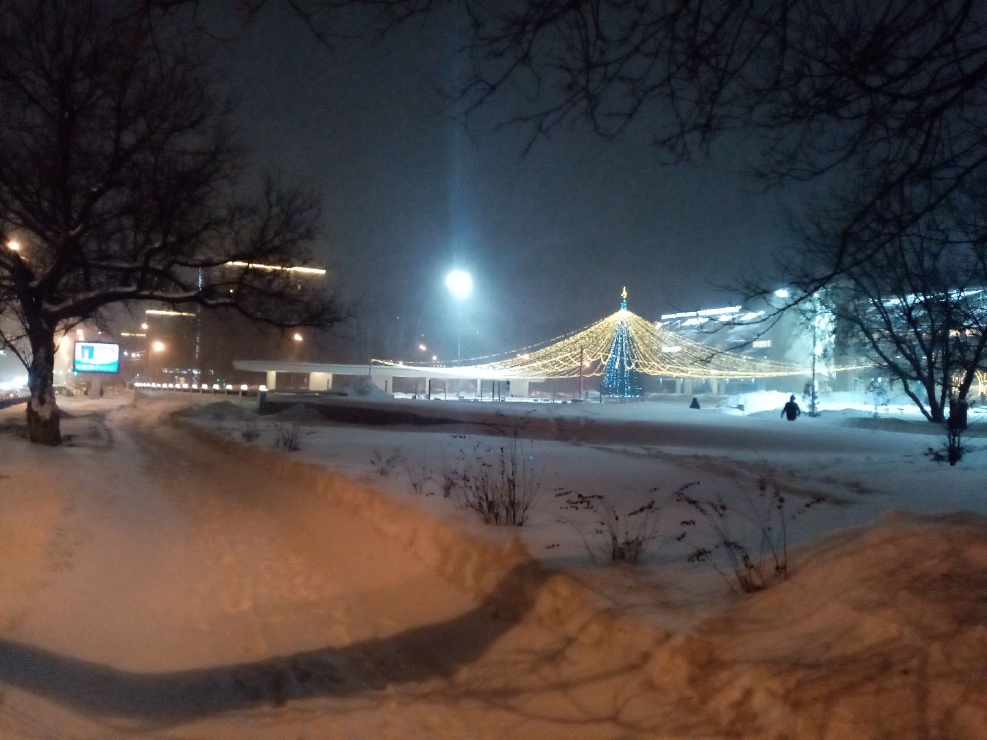 снежный шторм, непогода, природные аномалии,