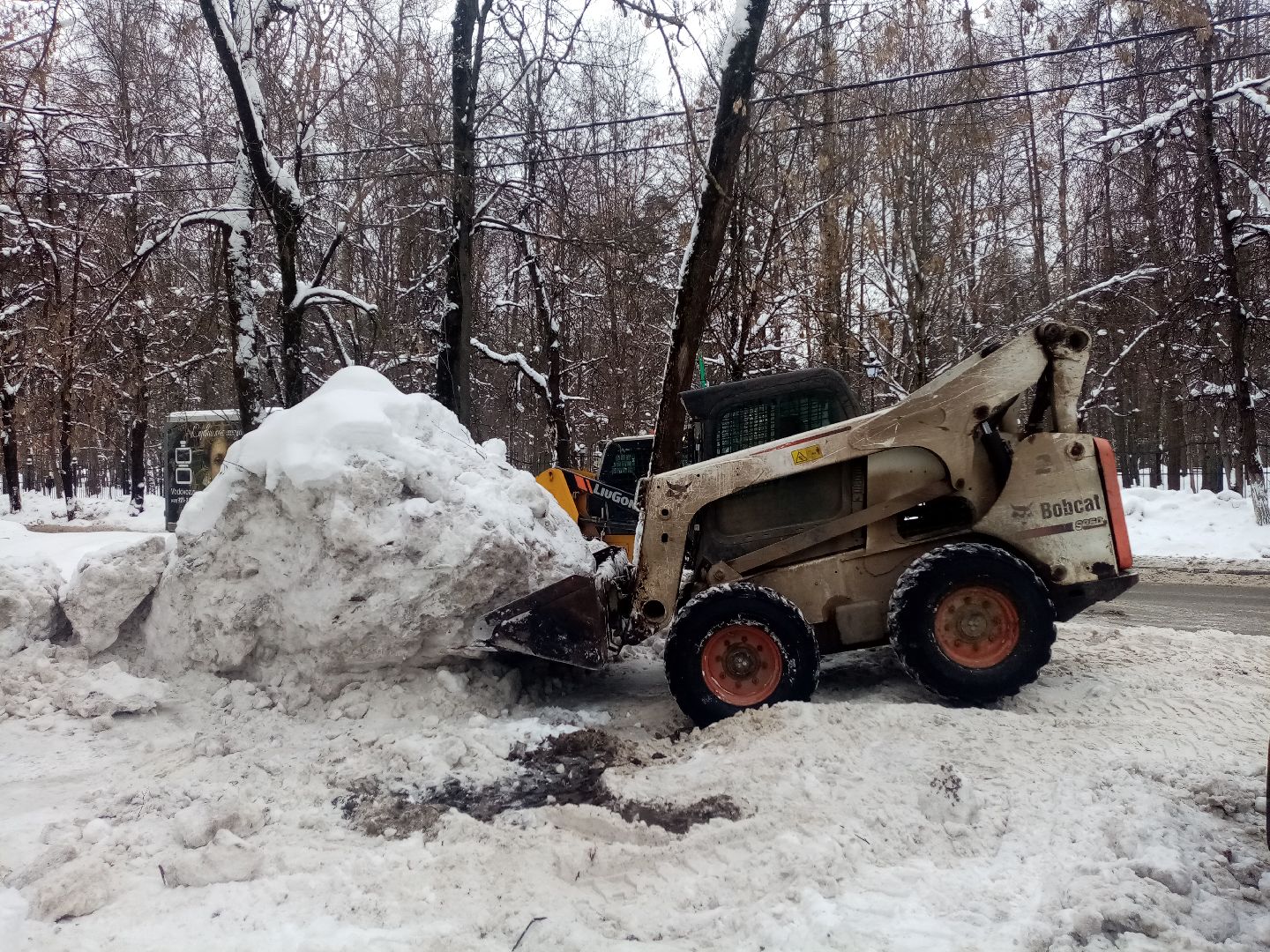 снежный шторм, непогода, природные аномалии,