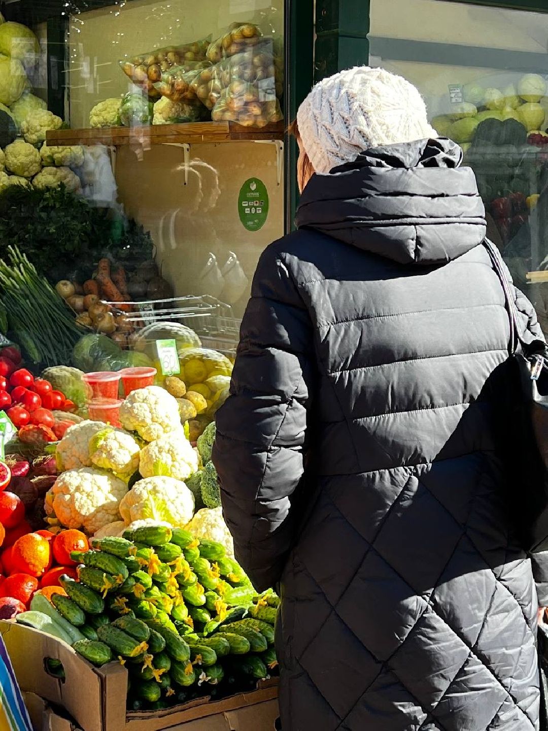 Одинцово, ВНИИСОК, Центр овощеводства, Минсельхозпрод, Урожай