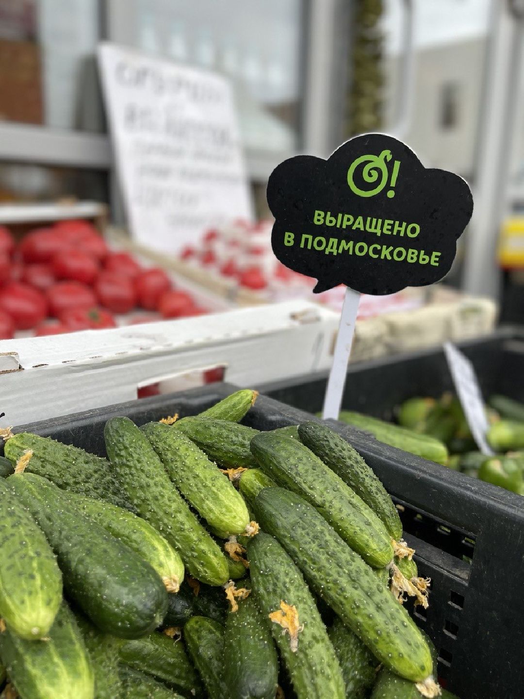 Одинцово, ВНИИСОК, Центр овощеводства, Минсельхозпрод, Урожай