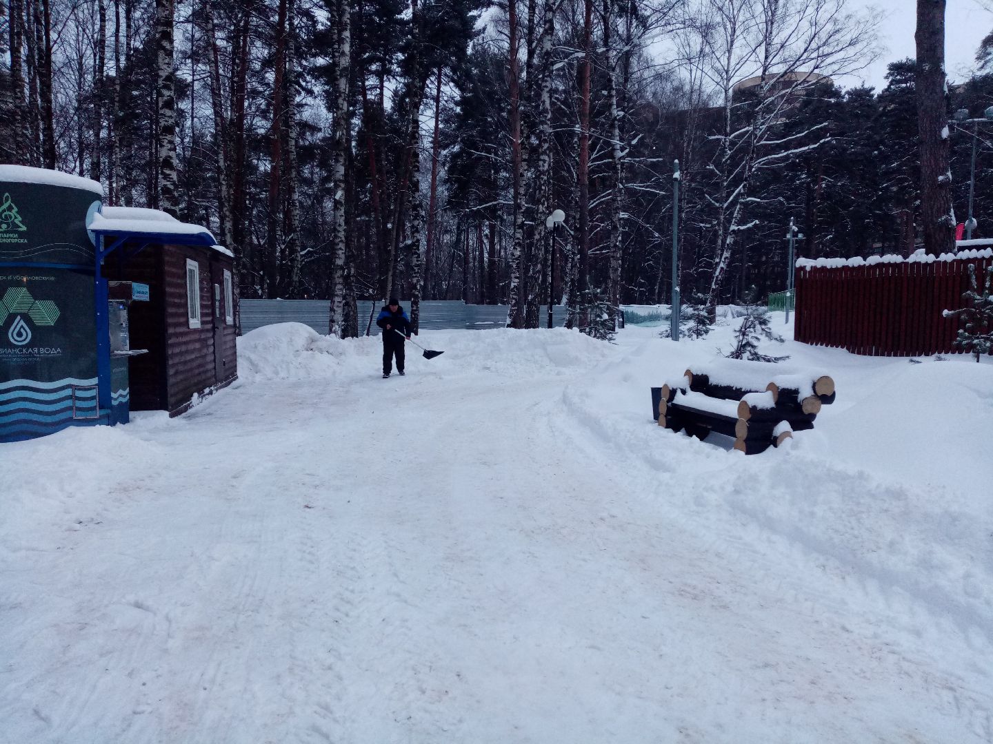 снегопад, непогода, уборка снега, жкх подмосковья,
