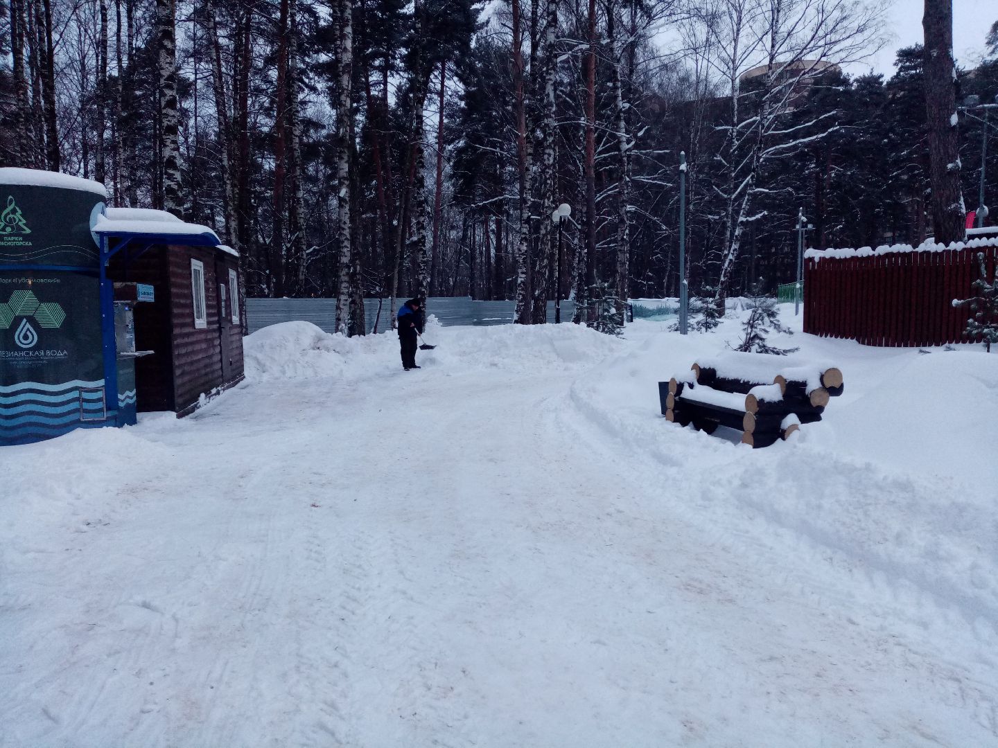 снегопад, непогода, уборка снега, жкх подмосковья,