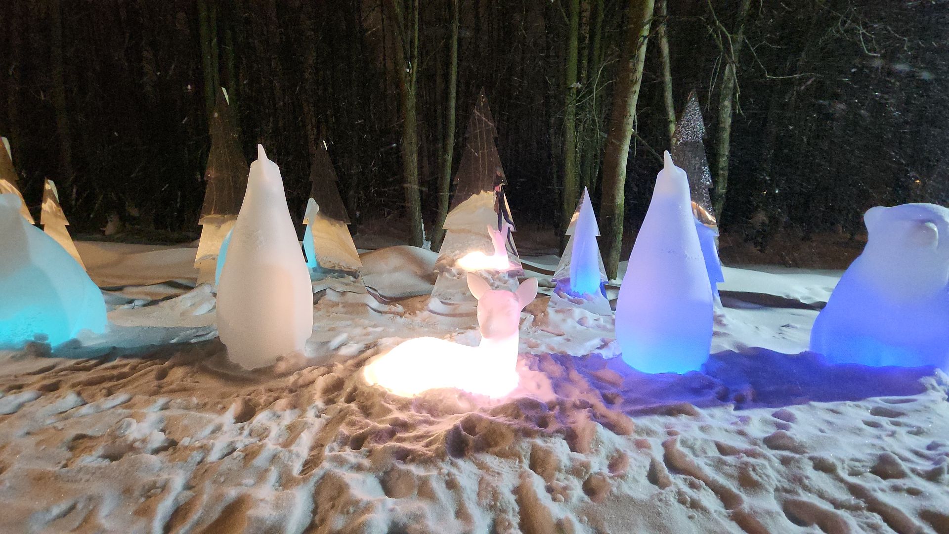 электросталь, купель, крещение, крещение господне, крещенские купания, крещенские купели, религия, мой город, горожане, зима 2024, зима в подмосковье, зима в парках,