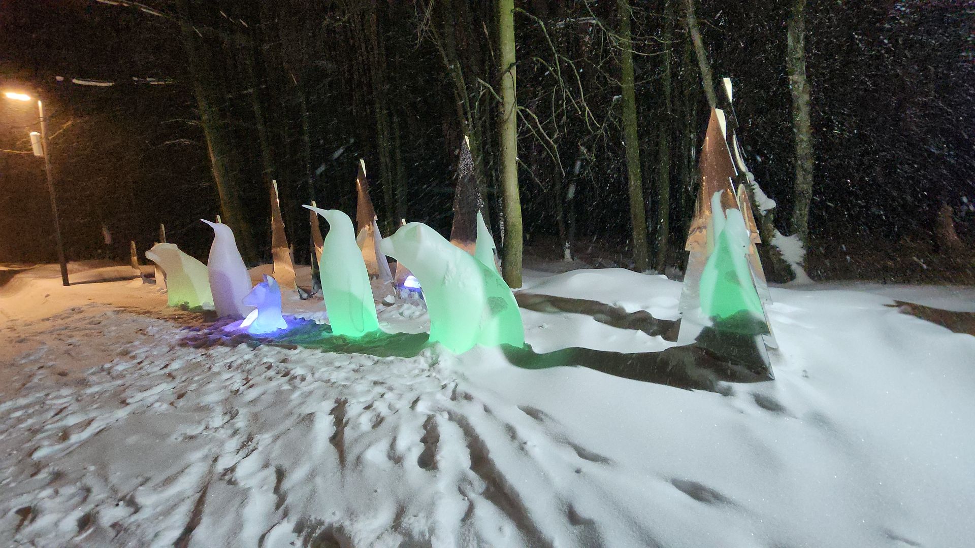 электросталь, купель, крещение, крещение господне, крещенские купания, крещенские купели, религия, мой город, горожане, зима 2024, зима в подмосковье, зима в парках,