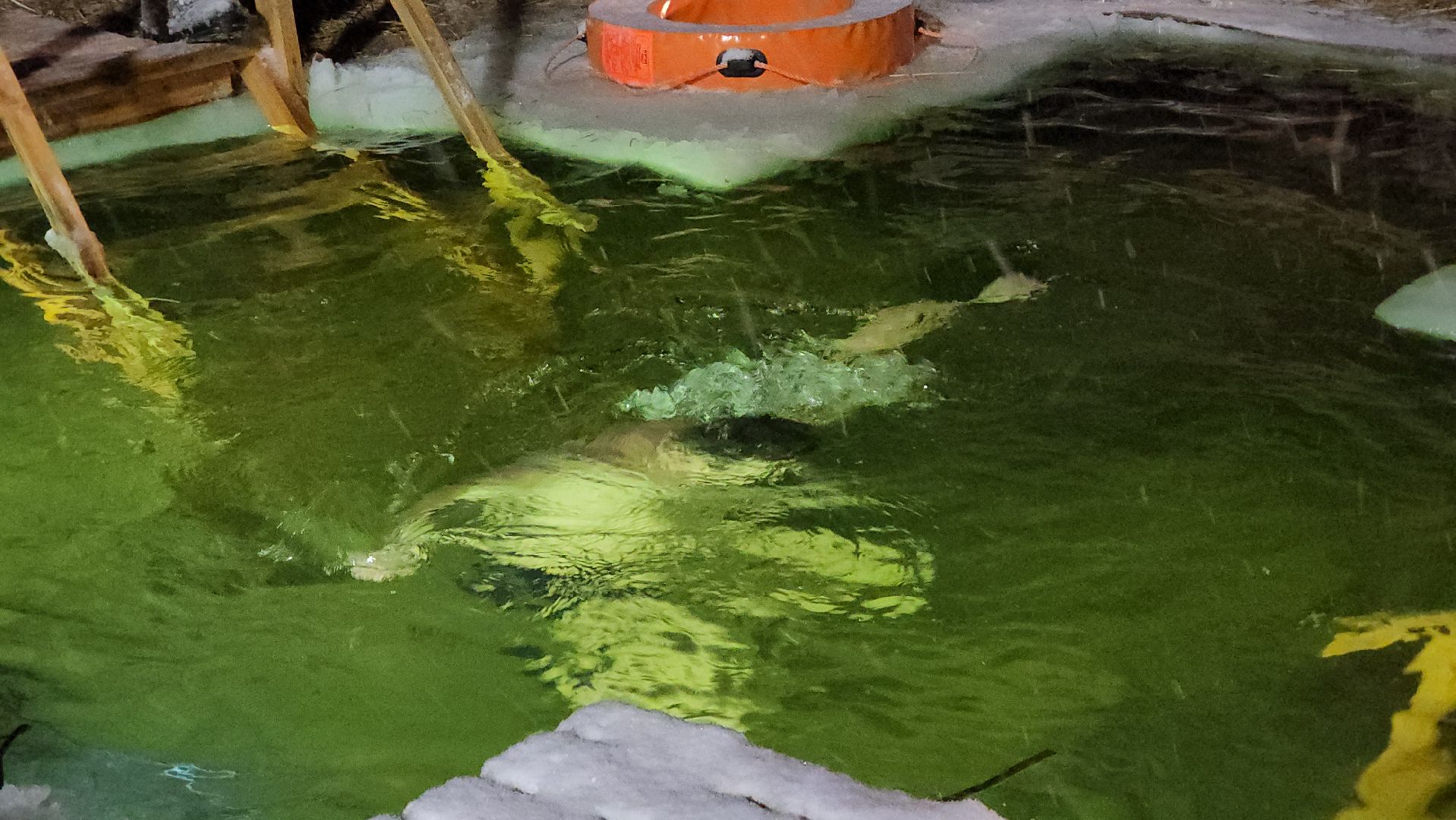 ступино, крещение господне, крещенские купания,